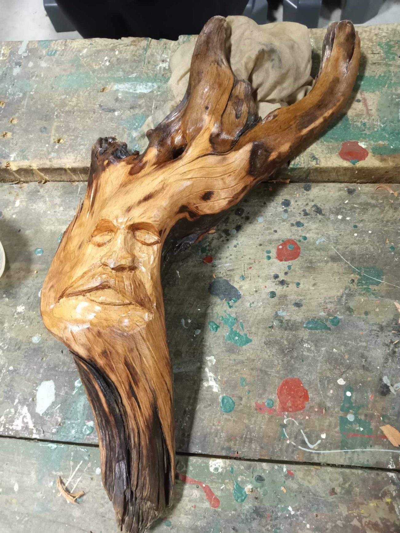 Franz Josef wood carving workshops