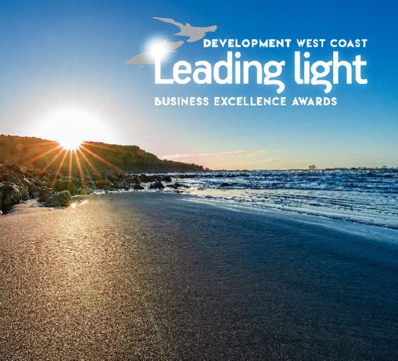 DWC Leading Light Business Awards