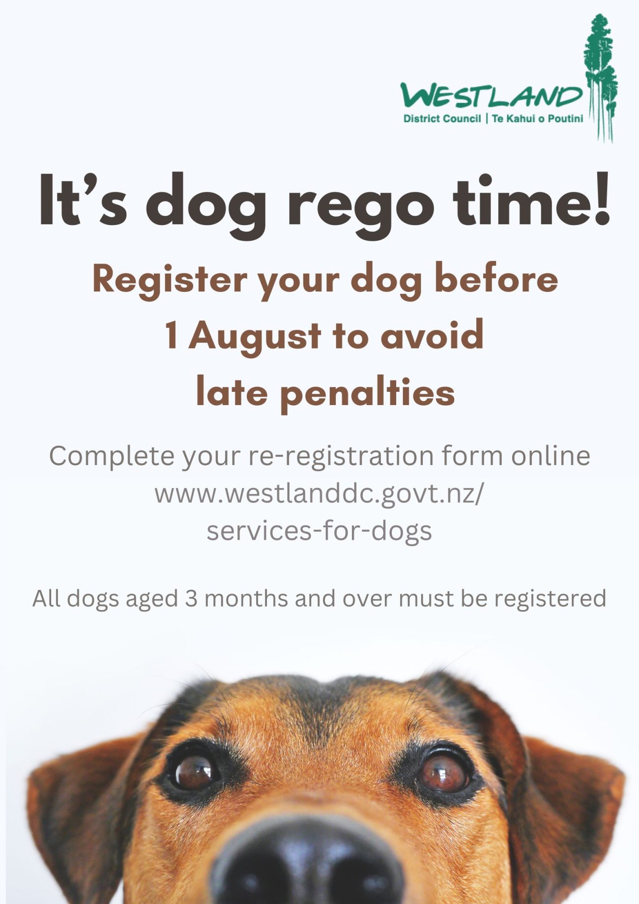 Annual dog registration due