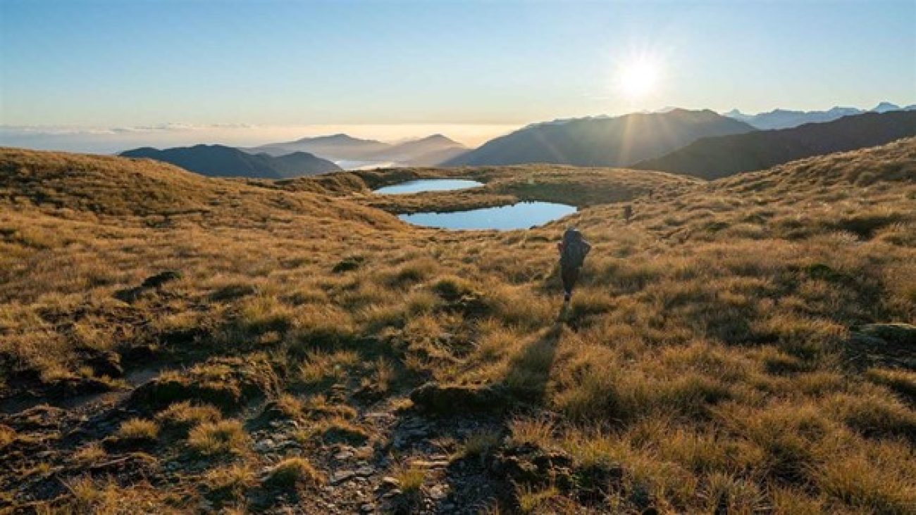 Have your say on the review of the West Coast Te Tai o Poutini Conservation Management Strategy