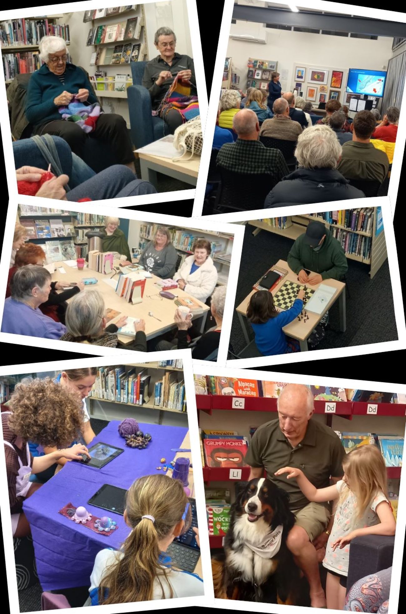 Why Libraries Matter: A Vital Engine of Community Wellbeing