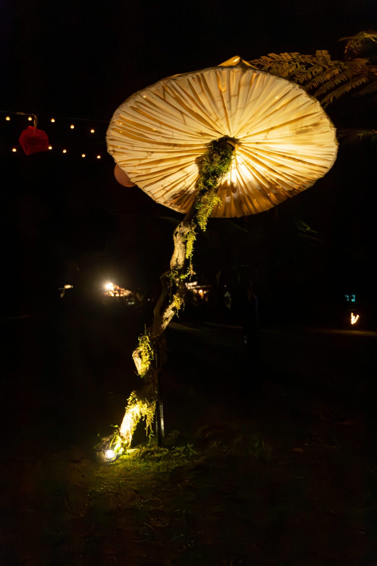 Franz Josef enjoys mid-winter lantern festival