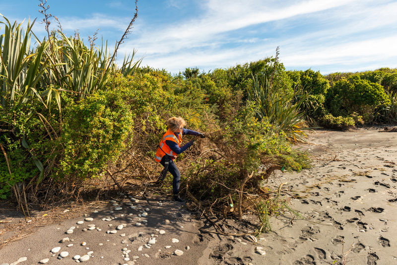 Gorse busters Initiative – Back this March